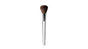 Best Blush Brush