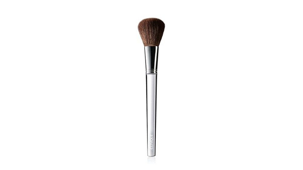 Best Blush Brush