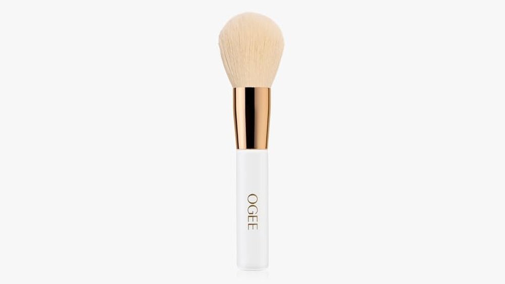 Best Powder Brush