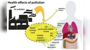 How Indoor Air Quality Affects Skin Health
