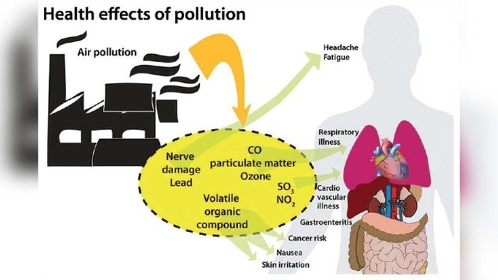 How Indoor Air Quality Affects Skin Health