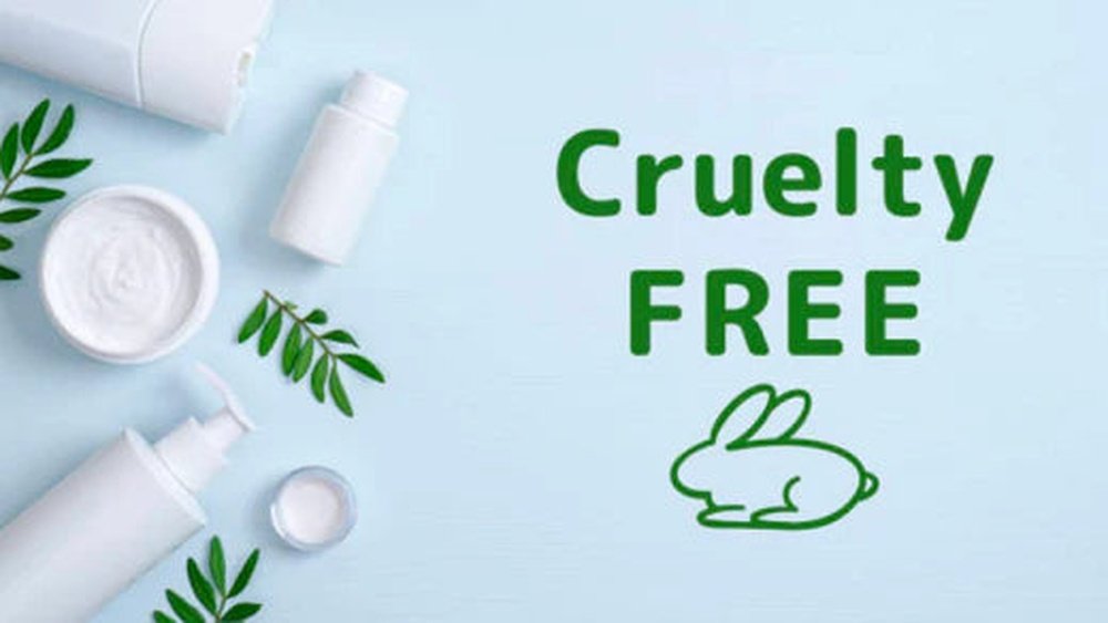 How to Choose Cruelty Free Brands